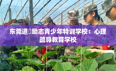东莞道滘励志青少年特训学校：心理疏导教育学校
