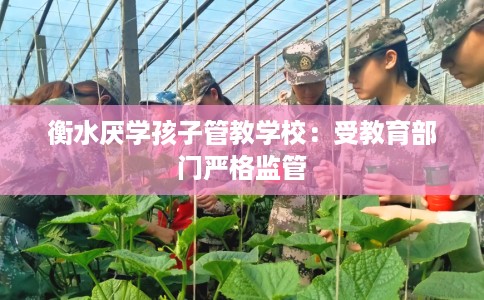 衡水厌学孩子管教学校：受教育部门严格监管