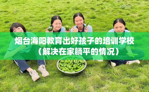 烟台海阳教育出好孩子的培训学校（解决在家躺平的情况）