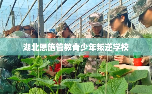 湖北恩施管教青少年叛逆学校