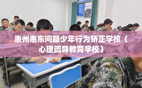 惠州惠东问题少年行为矫正学校（心理疏导教育学校）