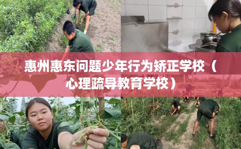 惠州惠东问题少年行为矫正学校（心理疏导教育学校）