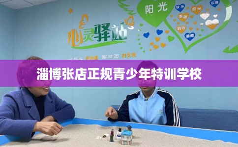 淄博张店正规青少年特训学校