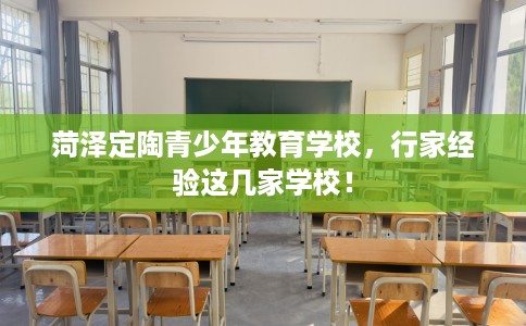 菏泽定陶青少年教育学校，行家经验这几家学校！