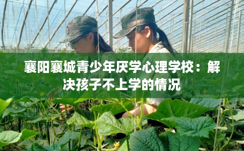 襄阳襄城青少年厌学心理学校：解决孩子不上学的情况