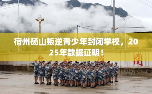 宿州砀山叛逆青少年封闭学校，2025年数据证明！