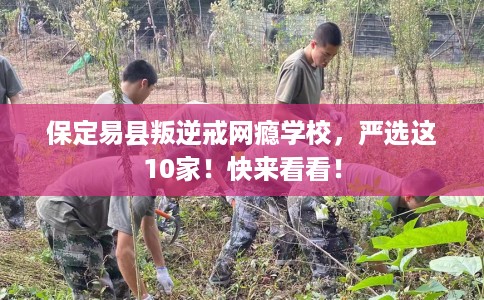 保定易县叛逆戒网瘾学校，严选这10家！快来看看！