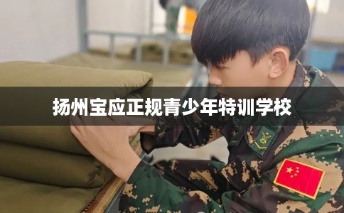 扬州宝应正规青少年特训学校