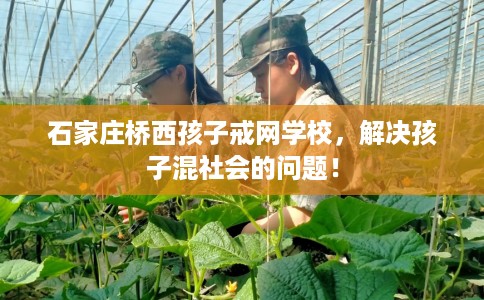 石家庄桥西孩子戒网学校，解决孩子混社会的问题！