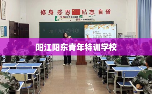 阳江阳东青年特训学校