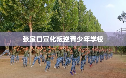 张家口宣化叛逆青少年学校