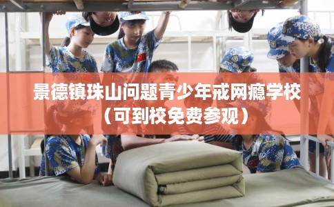 景德镇珠山问题青少年戒网瘾学校（可到校免费参观）