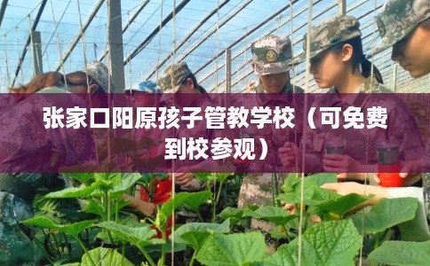 张家口阳原孩子管教学校（可免费到校参观）