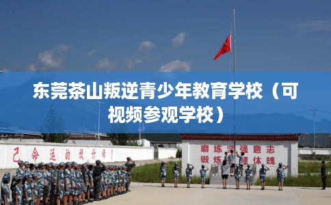 东莞茶山叛逆青少年教育学校（可视频参观学校）