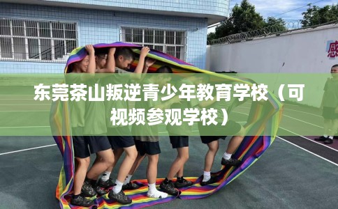 东莞茶山叛逆青少年教育学校（可视频参观学校）