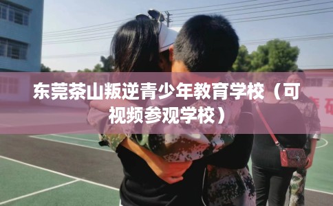 东莞茶山叛逆青少年教育学校（可视频参观学校）