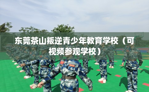 东莞茶山叛逆青少年教育学校（可视频参观学校）