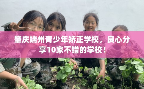 肇庆端州青少年矫正学校，良心分享10家不错的学校！
