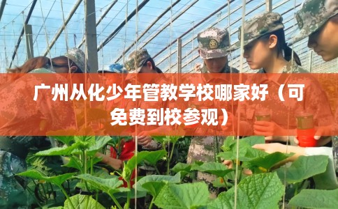 广州从化少年管教学校哪家好(可免费到校参观) 广州从化少年管教学校哪家好(可免费到校参观)