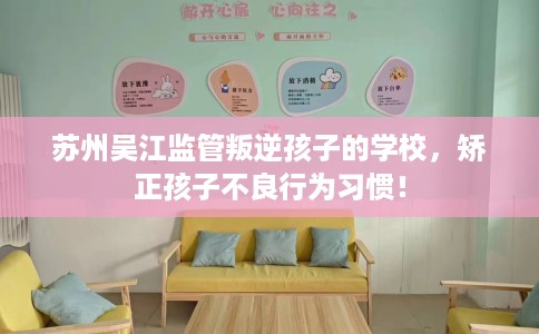 苏州吴江监管叛逆孩子的学校，矫正孩子不良行为习惯！
