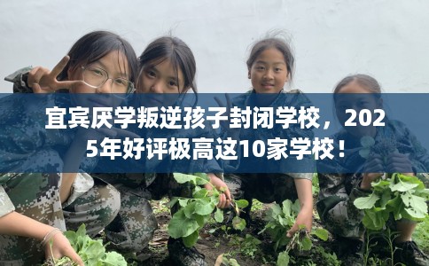 宜宾厌学叛逆孩子封闭学校，2025年好评极高这10家学校！