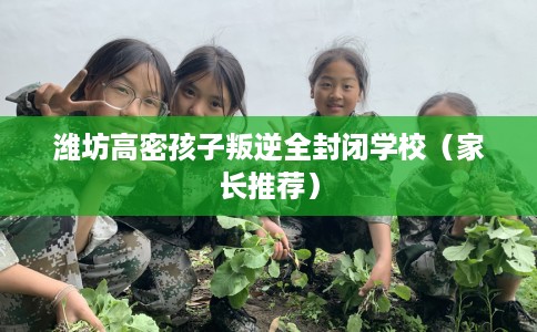 潍坊高密孩子叛逆全封闭学校（家长推荐）