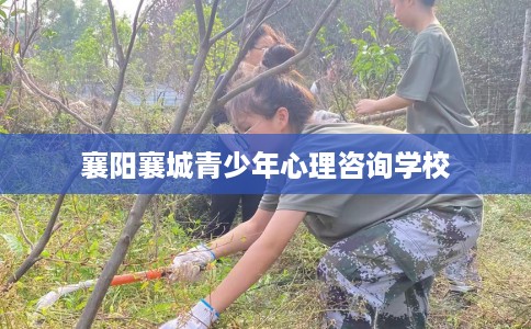 襄阳襄城青少年心理咨询学校