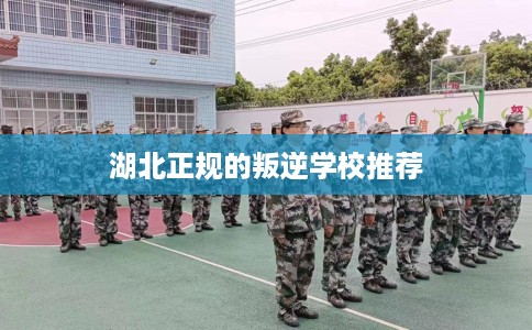湖北正规的叛逆学校推荐