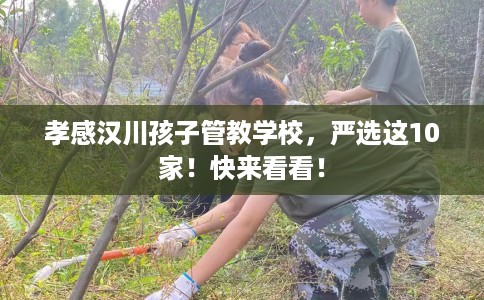 孝感汉川孩子管教学校，严选这10家！快来看看！