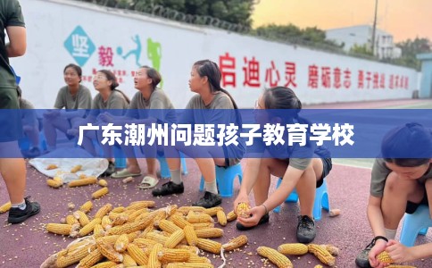 广东潮州问题孩子教育学校