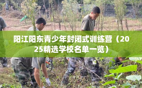 阳江阳东青少年封闭式训练营（2025精选学校名单一览）