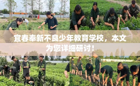 宜春奉新不良少年教育学校，本文为您详细研讨！