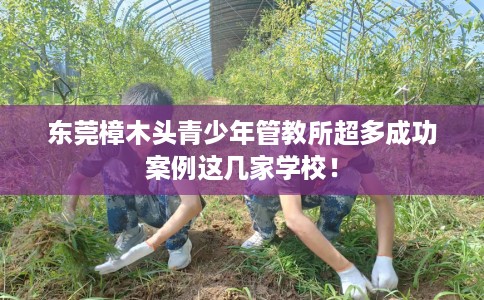 东莞樟木头青少年管教所超多成功案例这几家学校！