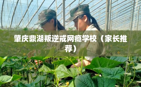 肇庆鼎湖叛逆戒网瘾学校（家长推荐）