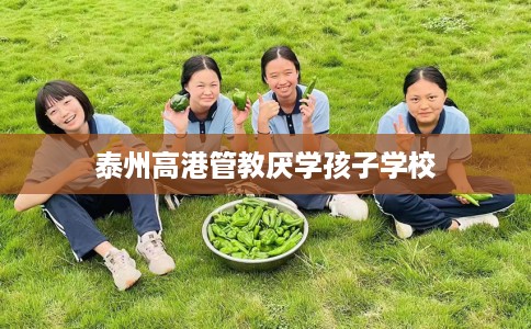 泰州高港管教厌学孩子学校