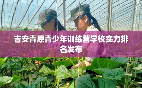 吉安青原青少年训练营学校实力排名发布