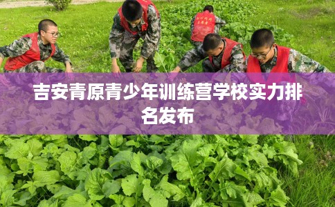 吉安青原青少年训练营学校实力排名发布