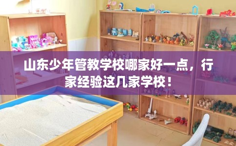 山东少年管教学校哪家好一点，行家经验这几家学校！