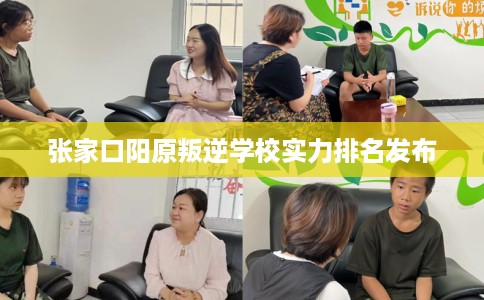 张家口阳原叛逆学校实力排名发布