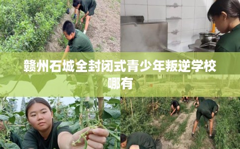 赣州石城全封闭式青少年叛逆学校哪有 赣州石城全封闭式青少年叛逆学校哪有