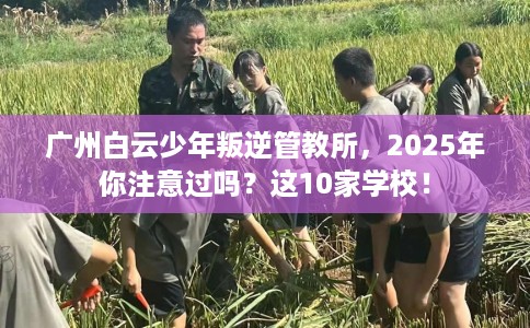广州白云少年叛逆管教所，2025年你注意过吗？这10家学校！