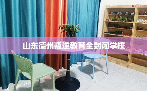 山东德州叛逆教育全封闭学校