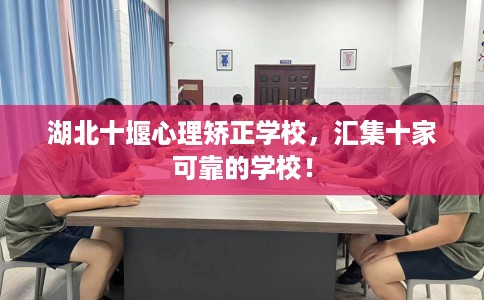 湖北十堰心理矫正学校，汇集十家可靠的学校！