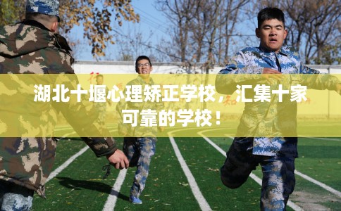湖北十堰心理矫正学校，汇集十家可靠的学校！