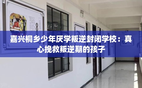 嘉兴桐乡少年厌学叛逆封闭学校：真心挽救叛逆期的孩子