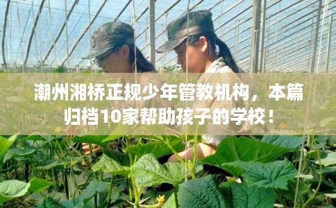 潮州湘桥正规少年管教机构，本篇归档10家帮助孩子的学校！