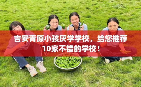 吉安青原小孩厌学学校，给您推荐10家不错的学校！