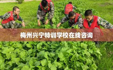 梅州兴宁特训学校在线咨询