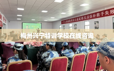 梅州兴宁特训学校在线咨询