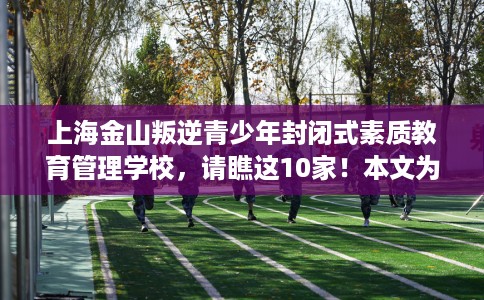 上海金山叛逆青少年封闭式素质教育管理学校，请瞧这10家！本文为您精心筛选！